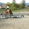 Babie Lato 2016
